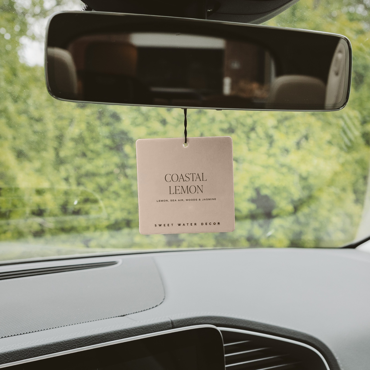 Hanging Air Freshener - Coastal Lemon