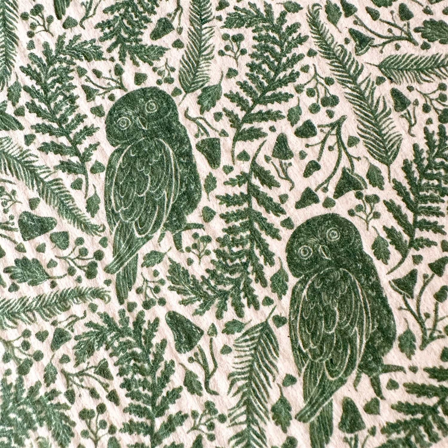 Archimedes - Owl Design Swedish Dishcloth