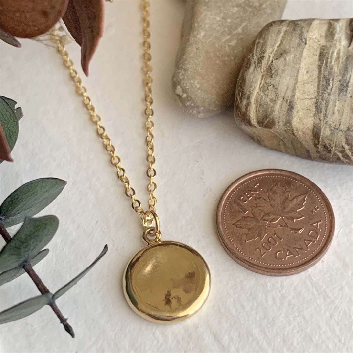 Concave Medallion Charm Necklace in Gold