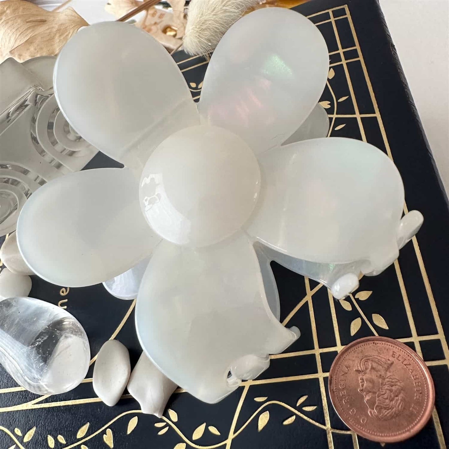 Flower Power Acrylic Hair Claw - Pearl