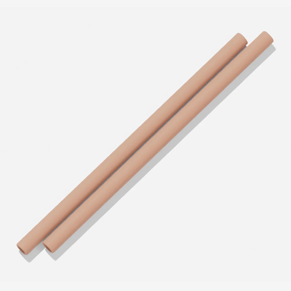 Silicone Straws (2 pack) - 13 Colours