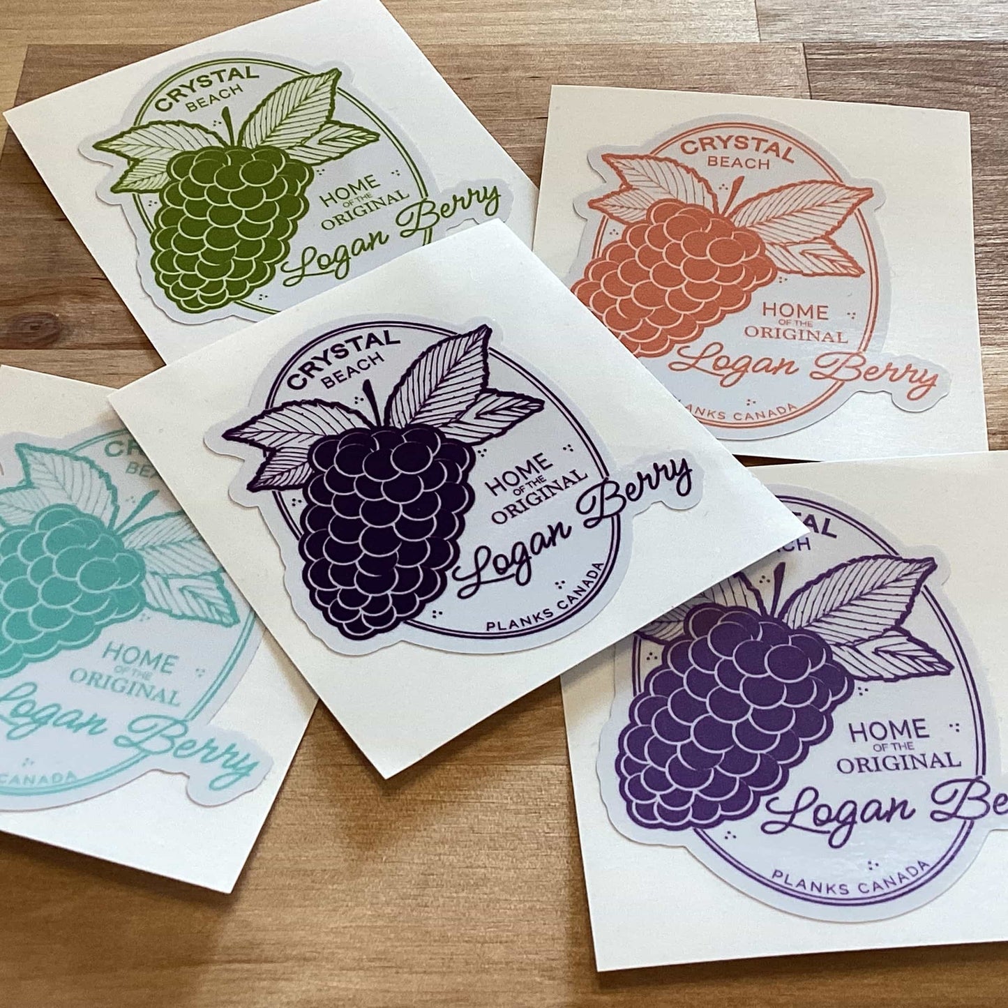 Loganberry Sticker - Orange