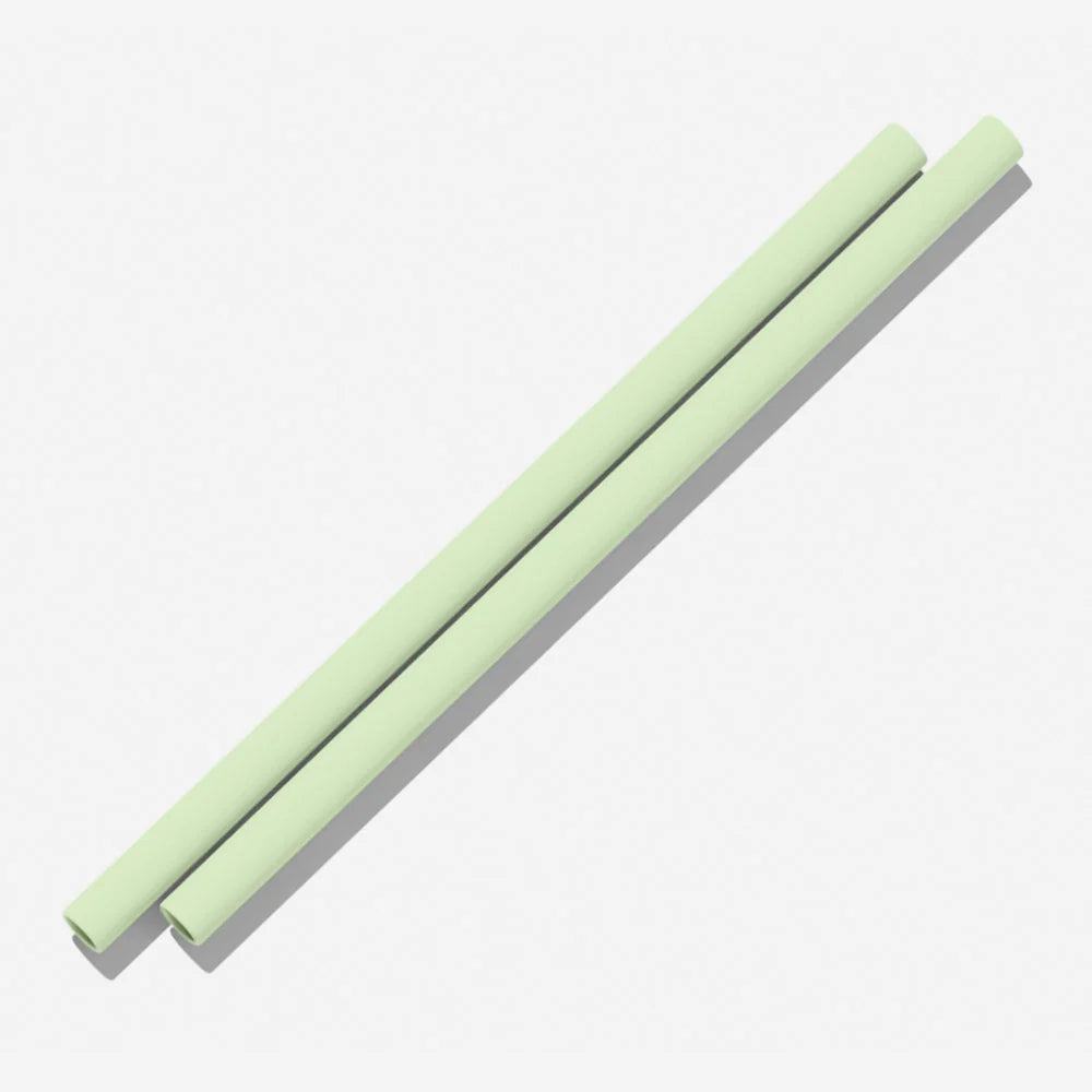 Silicone Straws (2 pack) - 13 Colours