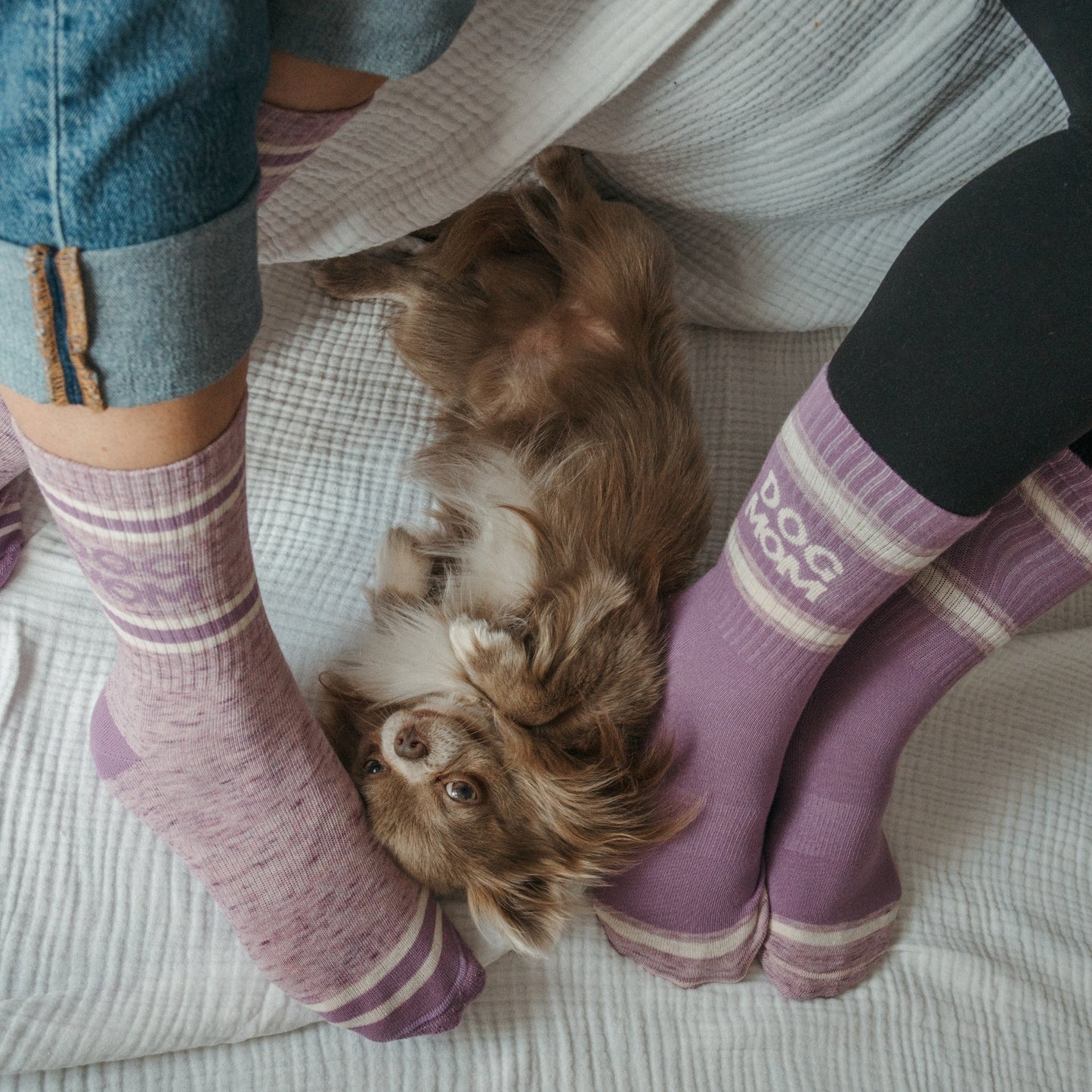 Pack of 2 Pima Cotton Socks - Dog Mom