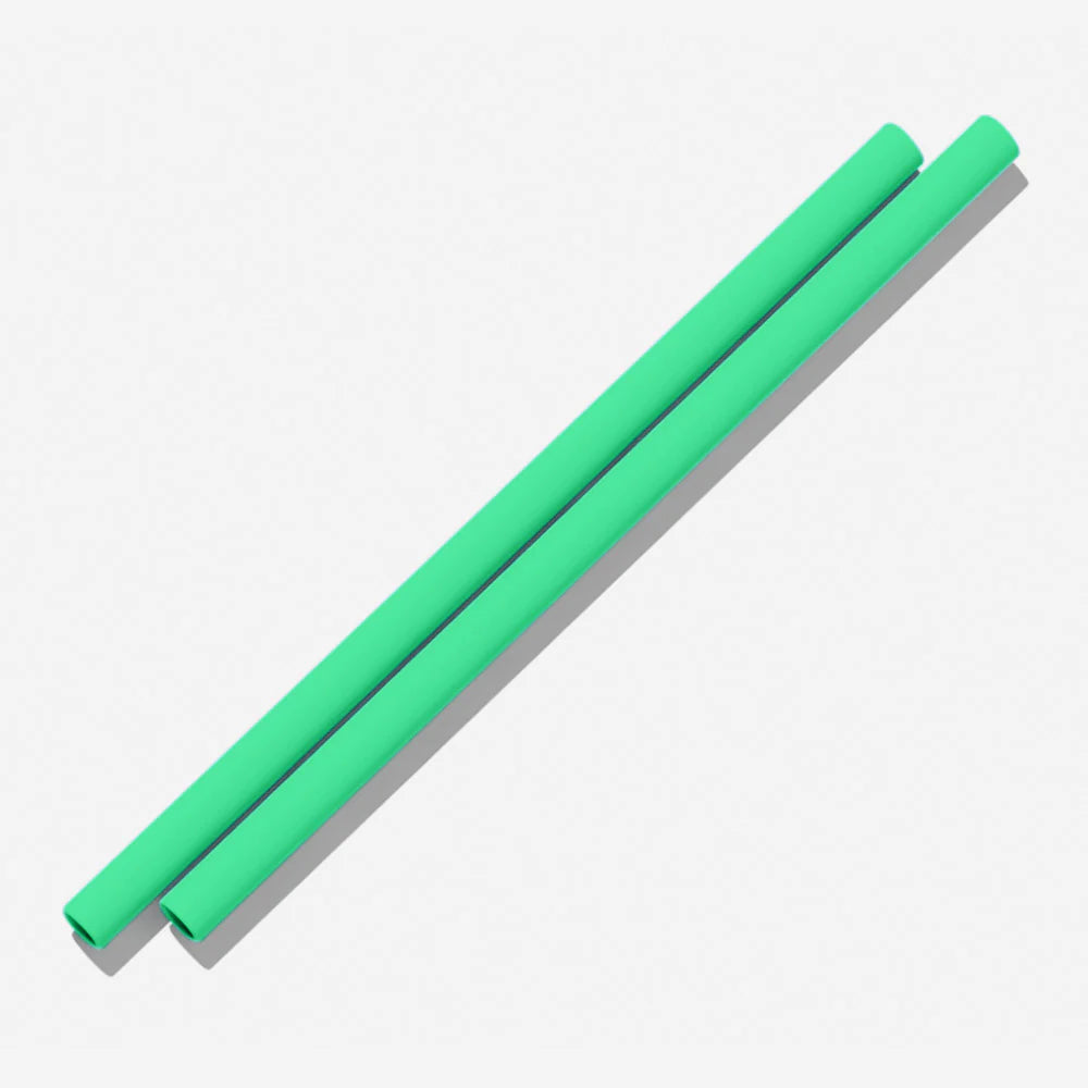 Silicone Straws (2 pack) - 13 Colours