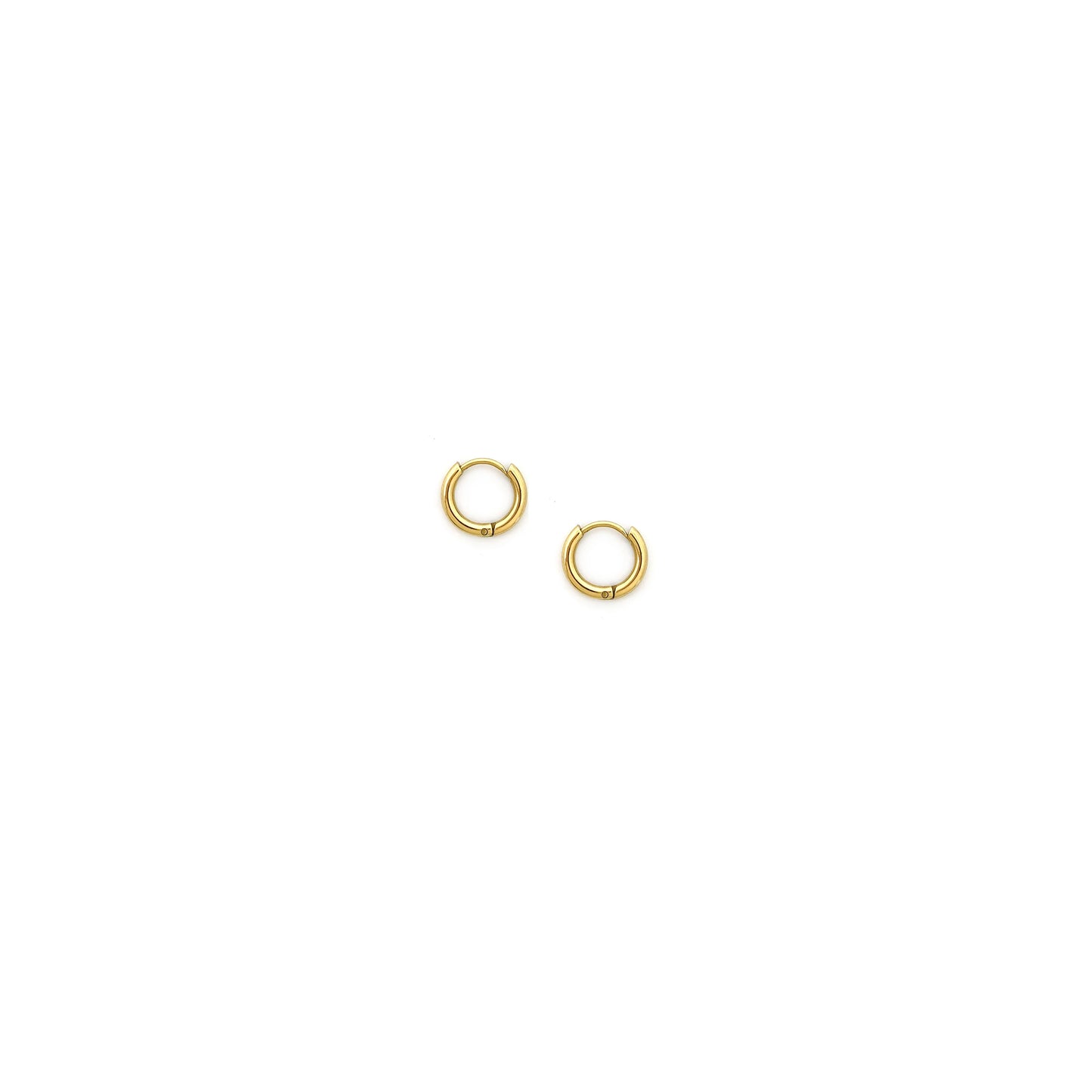 Sage Earrings - Hoop