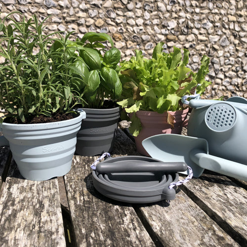 Scrunch Seedling Pot and Trowel Set - Sage