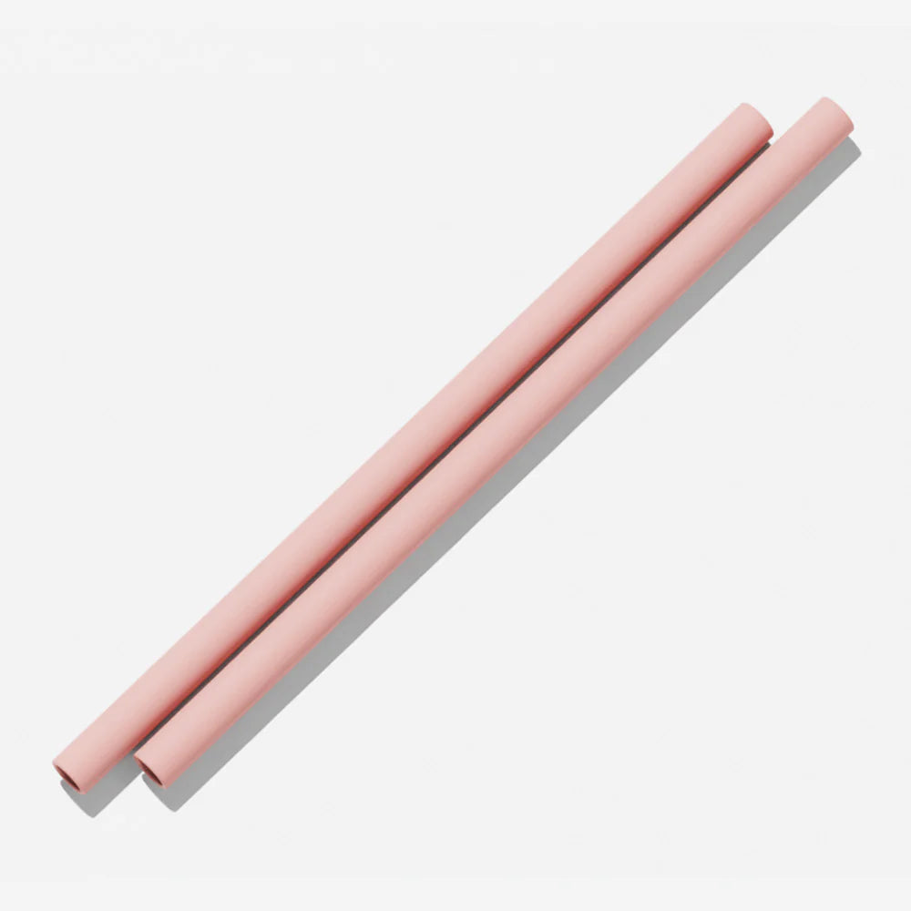 Silicone Straws (2 pack) - 13 Colours
