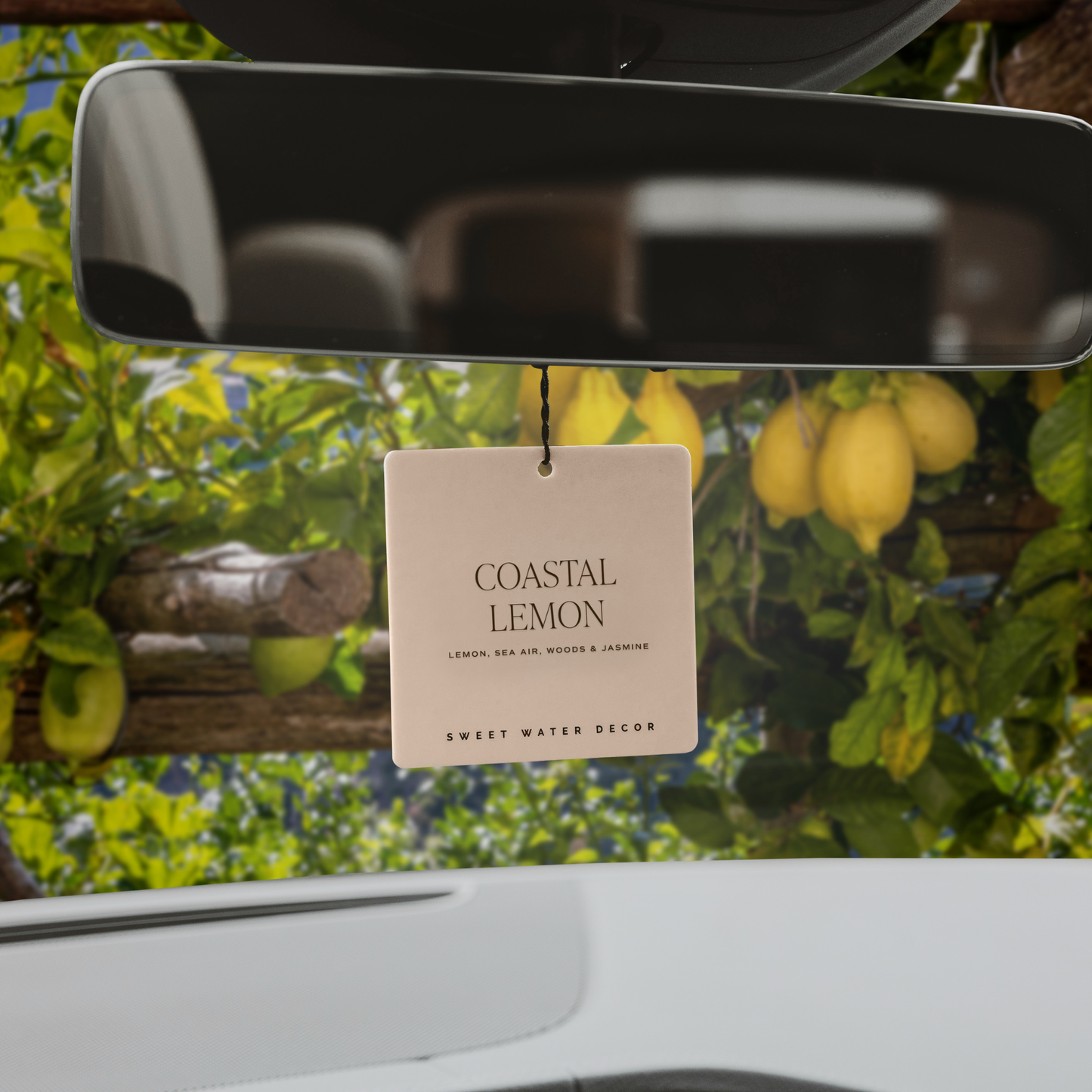 Hanging Air Freshener - Coastal Lemon