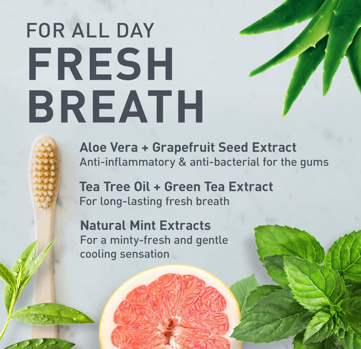 Fresh Mint with Activated Charcoal - Solid Toothpaste Tabs - 2-month supply REFILL
