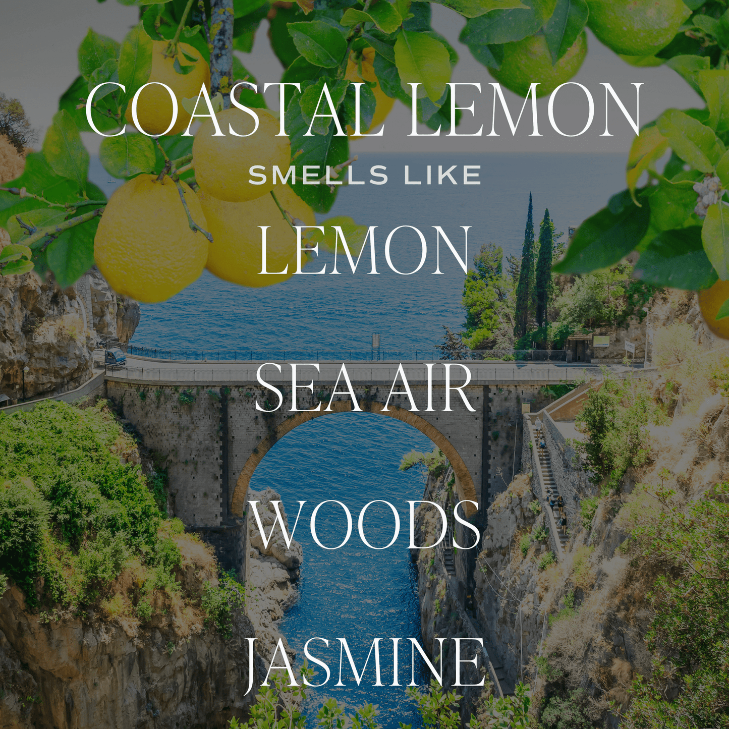 Hanging Air Freshener - Coastal Lemon