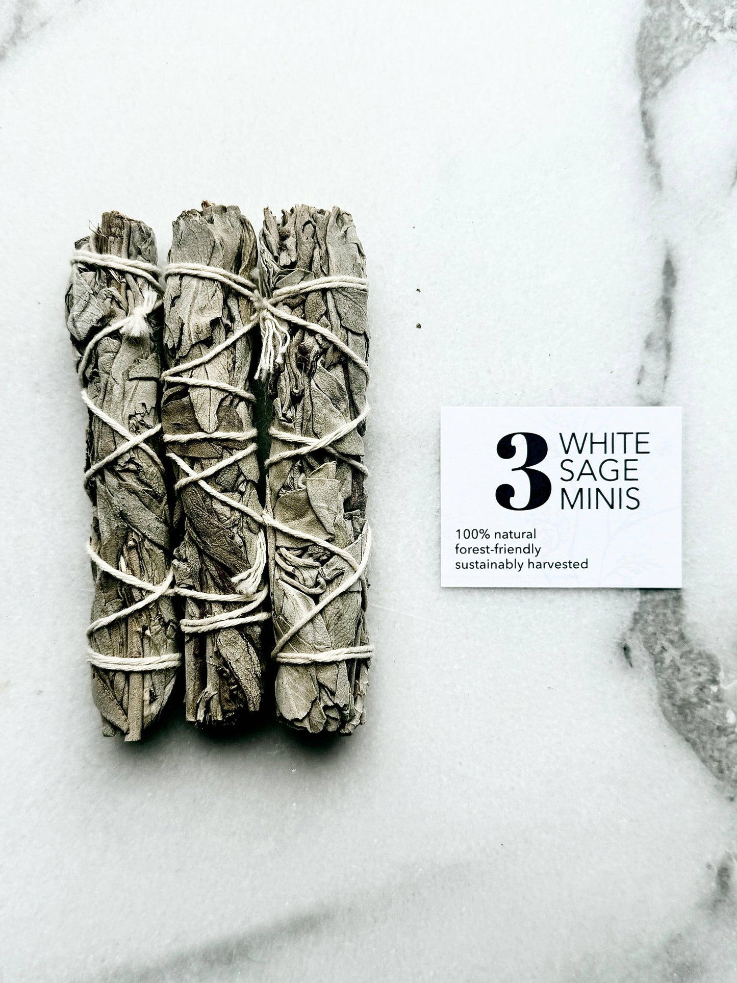 Forest-friendly White Sage minis, (set of 3)