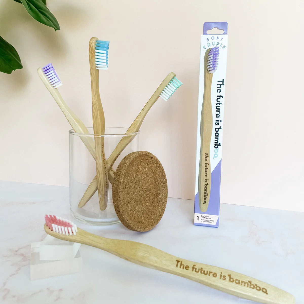 Adult Soft Toothbrush - 4 Colours