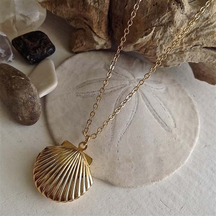 Amatheia Sea Shell Locket In Gold