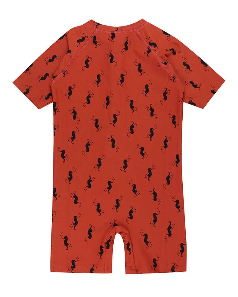 Seahorse Surfsuit