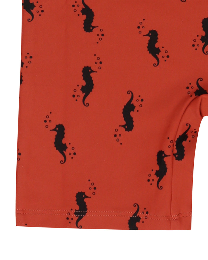 Seahorse Surfsuit