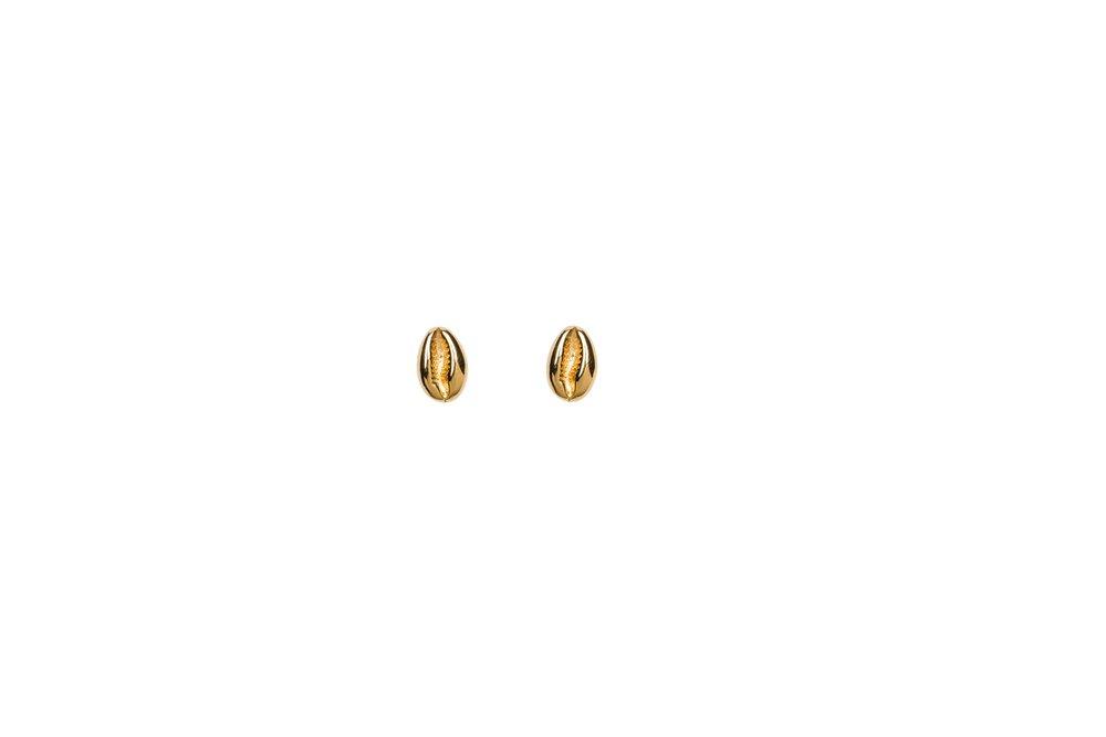 Mini Cowrie Shell Studs in Gold
