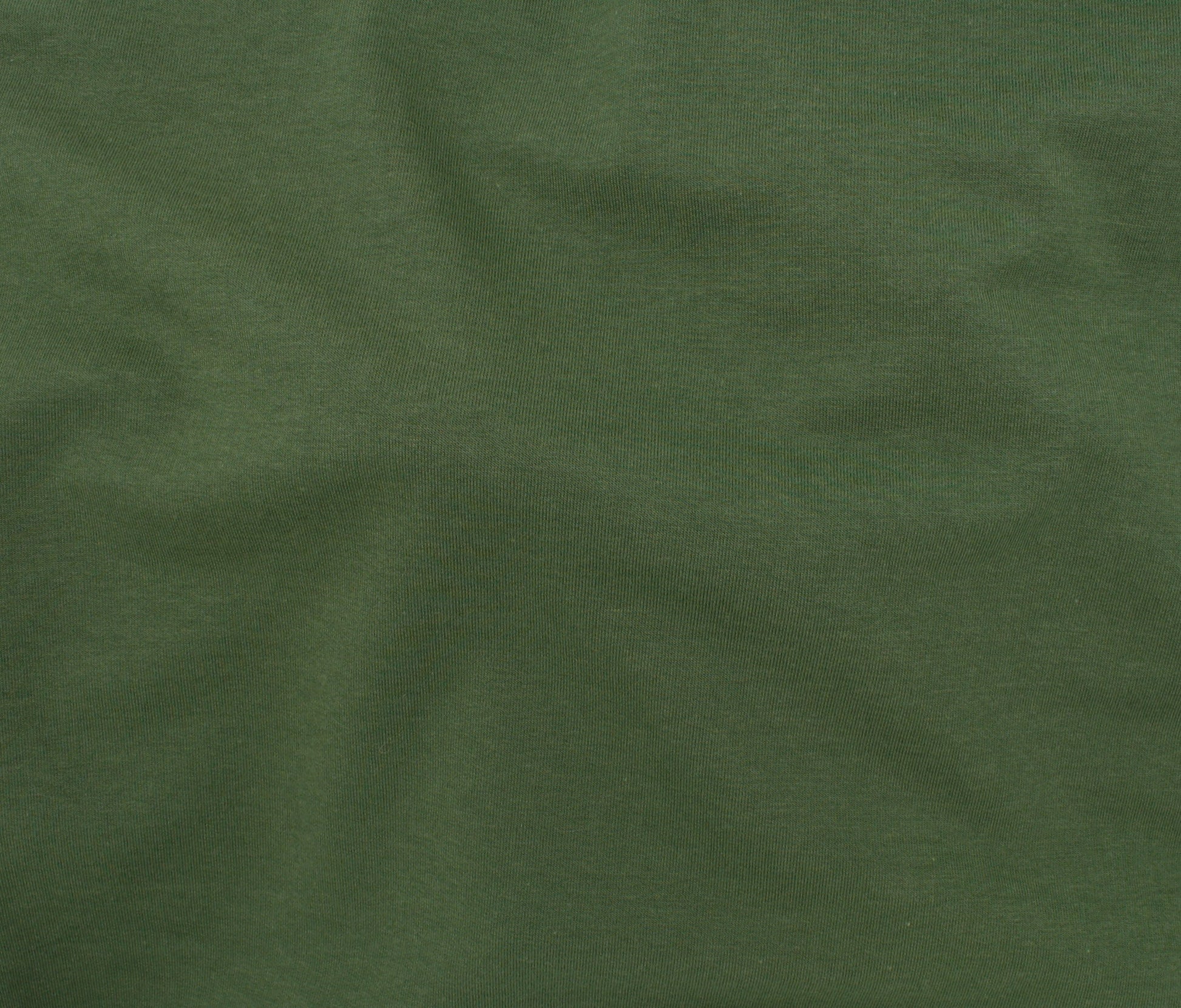 Spruce Bamboo Fabric Swatch