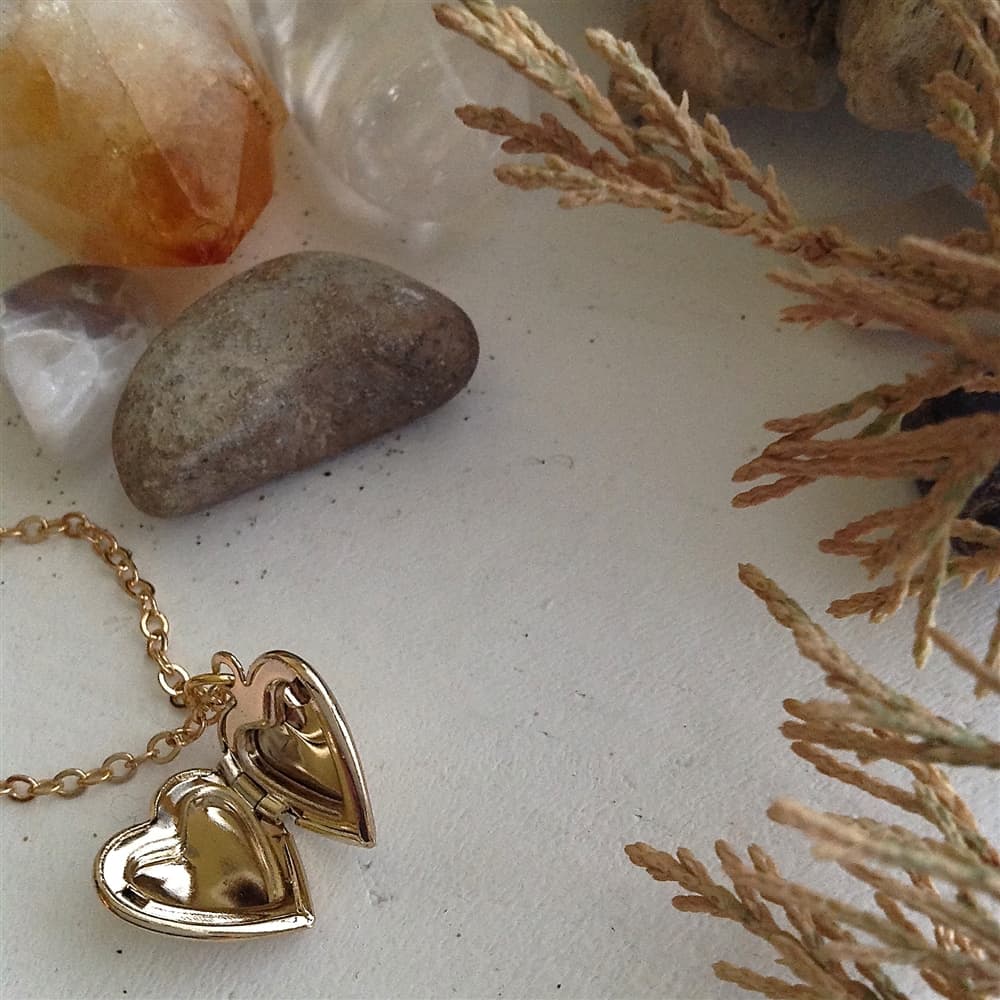 Total Eclipse of the Heart Tiny Heart Shaped Locket in Gold