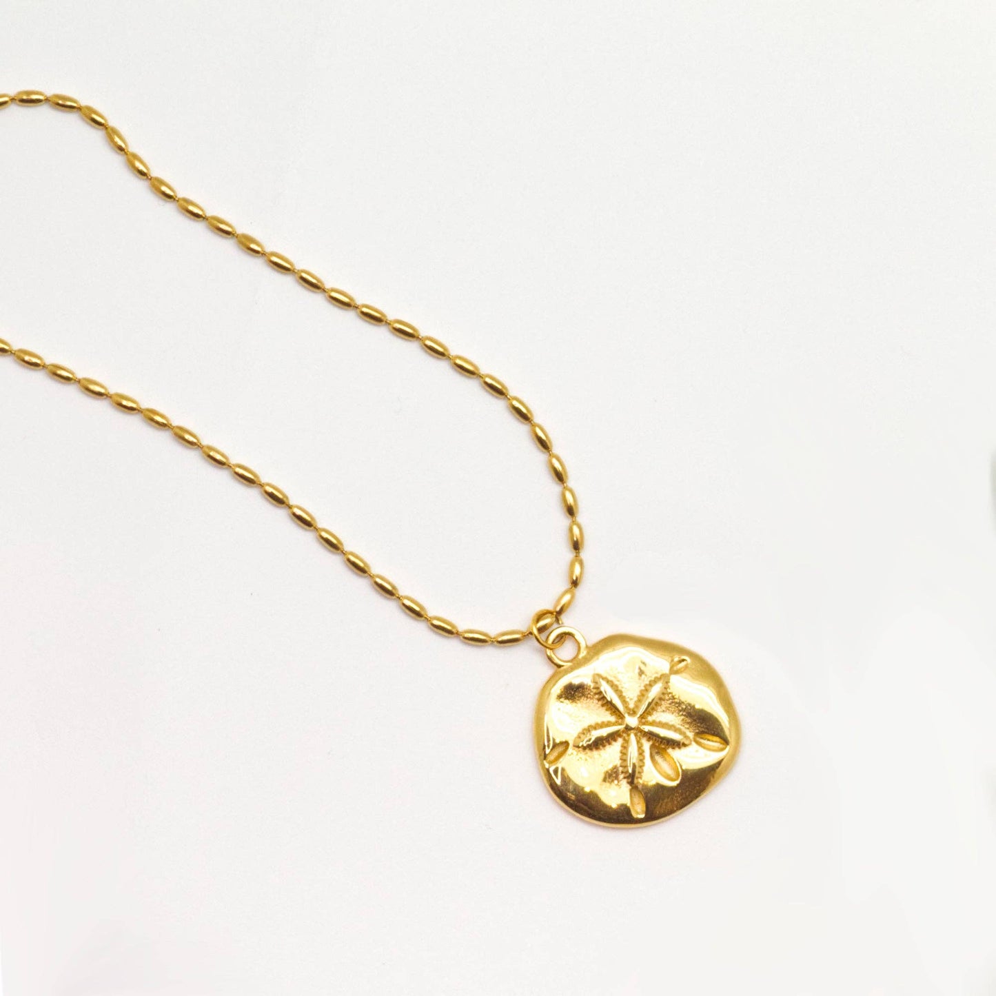 Sand Dollar