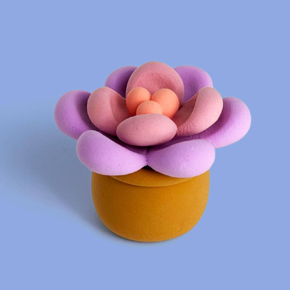 Succulent Clay Crafting Kit