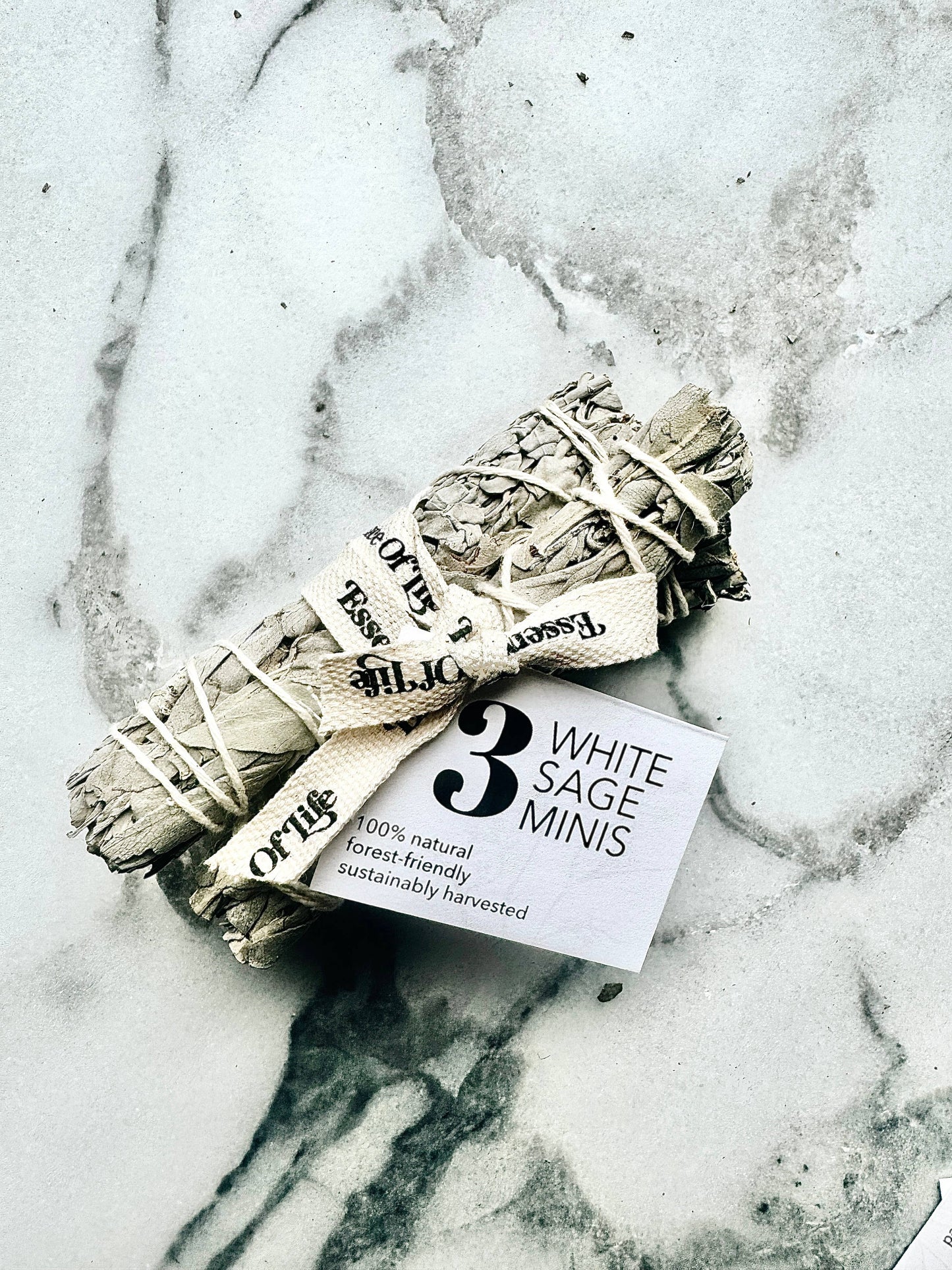 Forest-friendly White Sage minis, (set of 3)