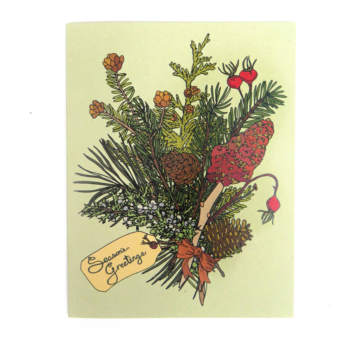 Evergreen File Winter Evergreen Card – Planks Canada