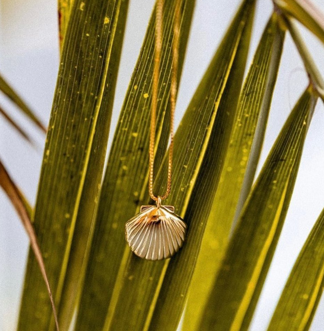 Beachy ~ Salty Pendants