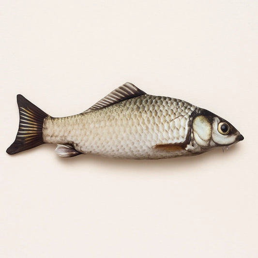 Carp Diem Fish Pencil Case