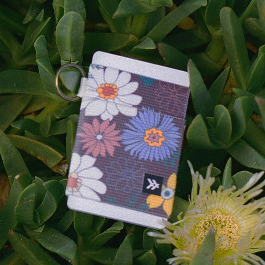 Clover Elastic Wallet