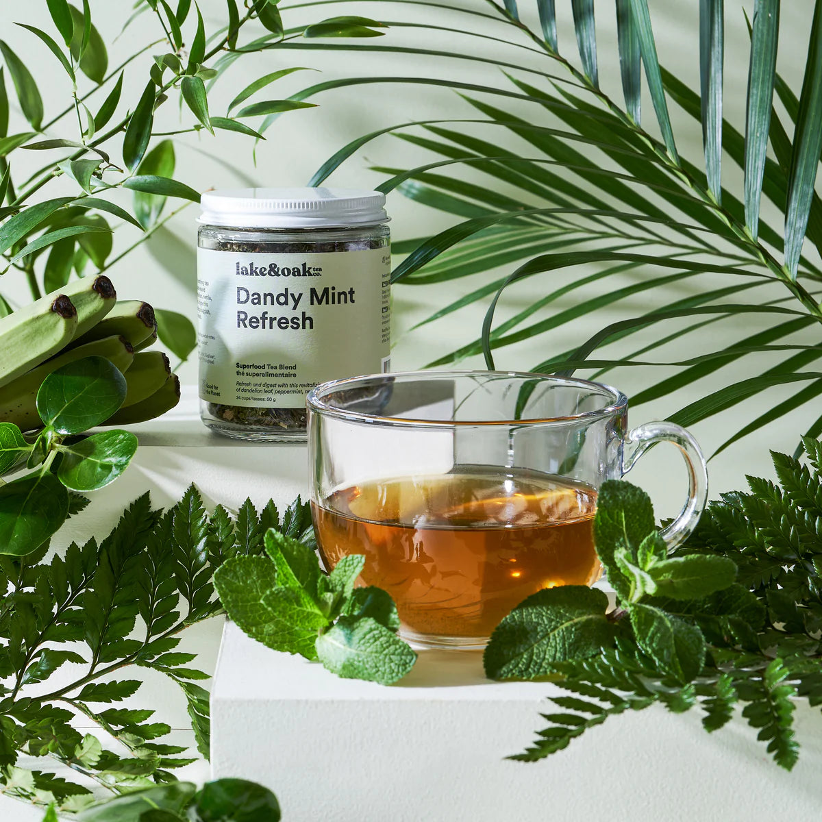Dandy Mint Refresh - Loose Leaf Tea - 24 Cups