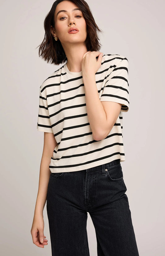 Jaxon - Cream Stripe