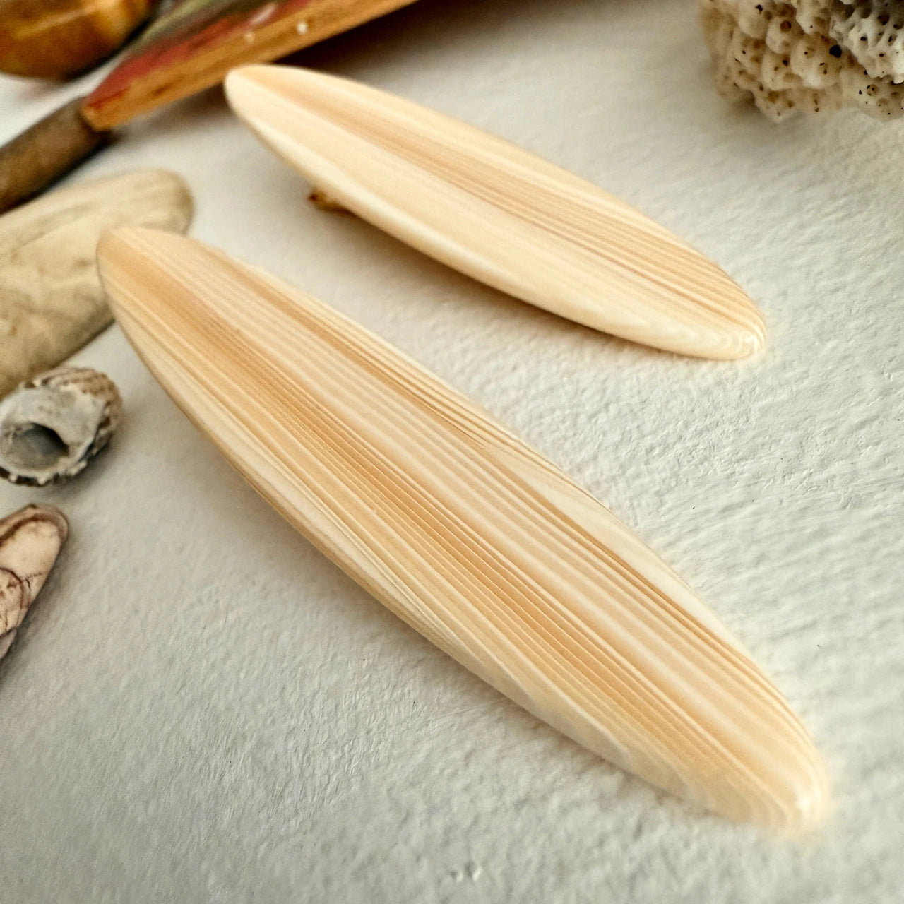 Longboard Duckbill Hair Clips - 5 Colours