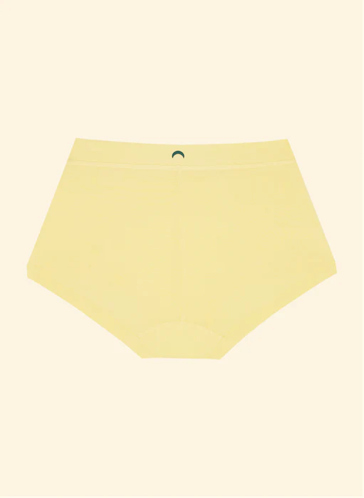 Brief Mineral Underwear - Limoncello