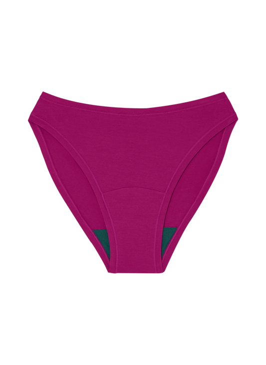 High Rise Bikini Mineral Underwear - Berry