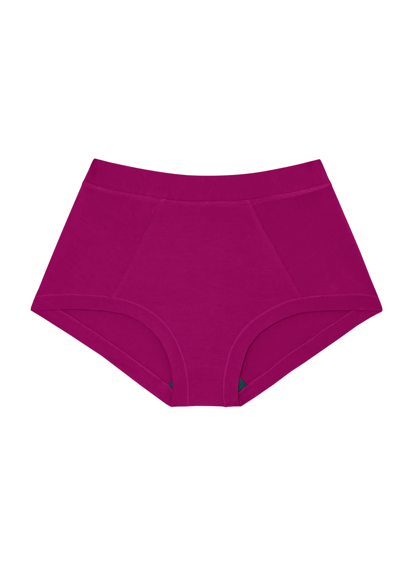 Brief Mineral Underwear - Berry