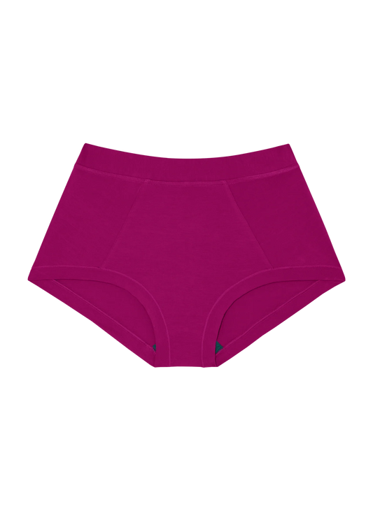 Brief Mineral Underwear - Berry