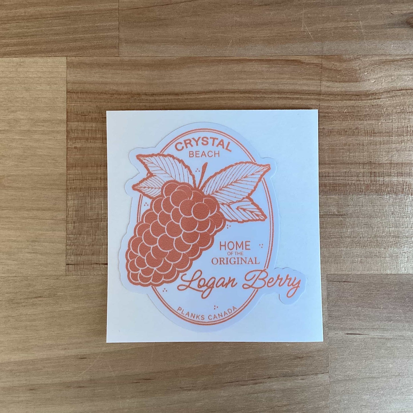 Loganberry Sticker - Orange
