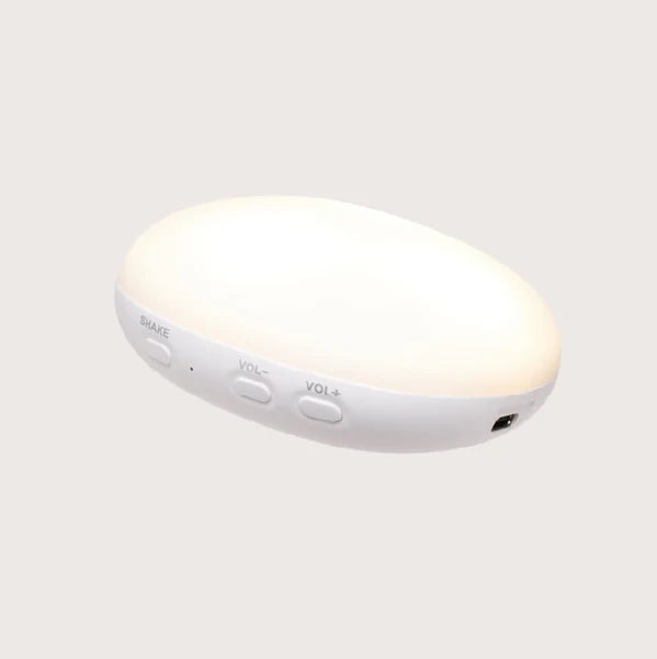 Organic Humming Bear With Lamp - Polar