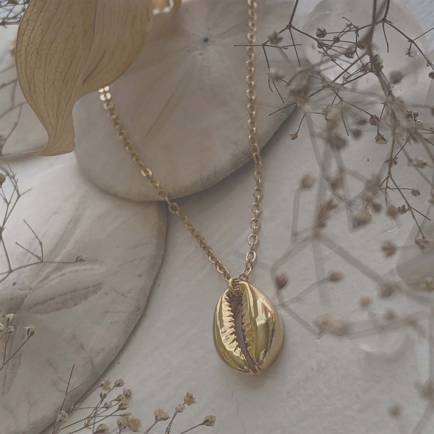 Orinoco Sea Shell Charm Necklace in Gold