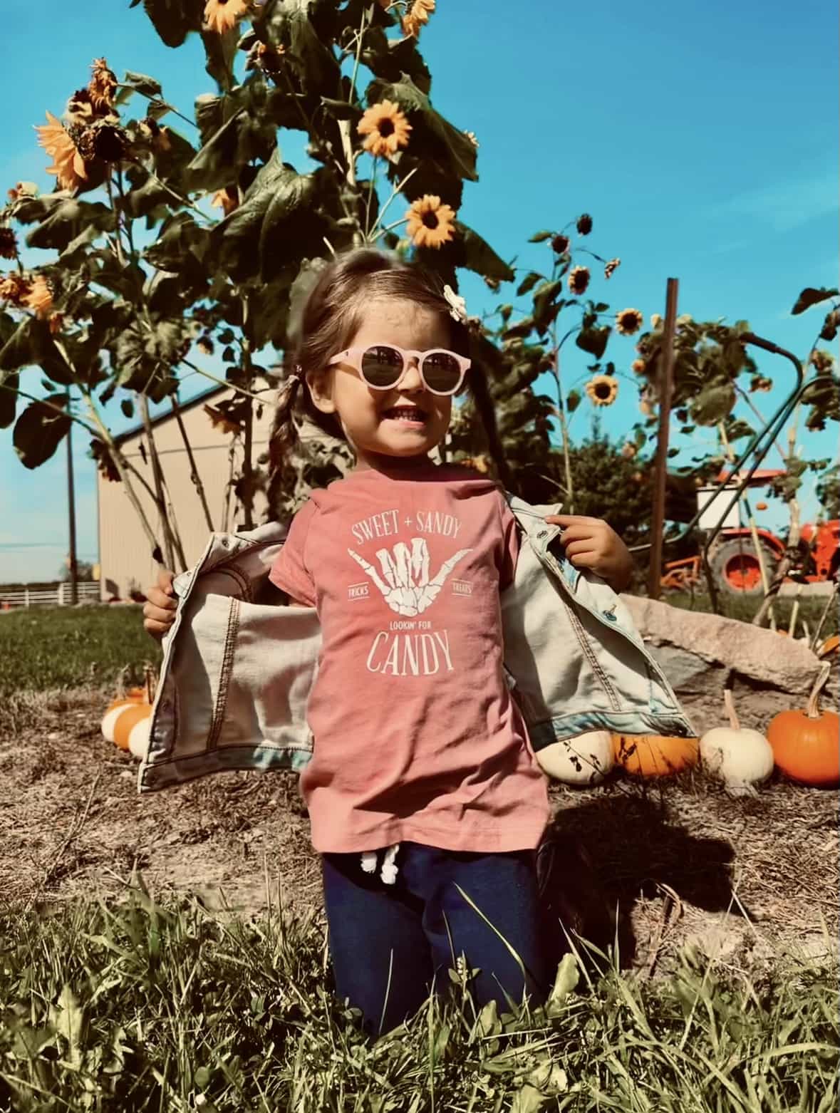 Sweet and Sandy looking for candy Kids Tee - Mauve