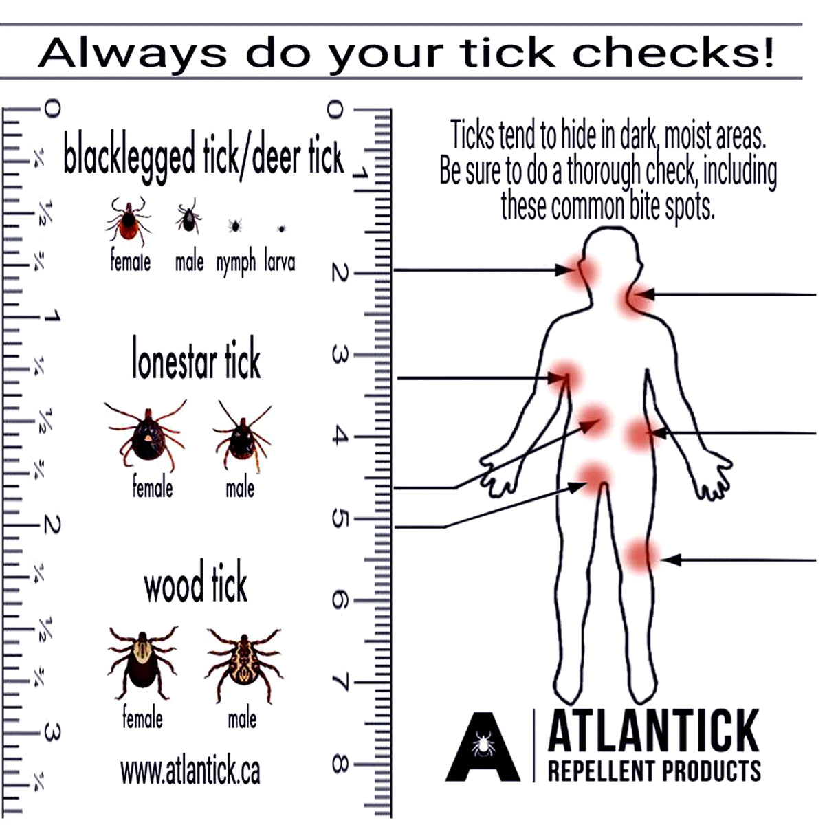 Tick Kit Tick removal tools and first aid supplies