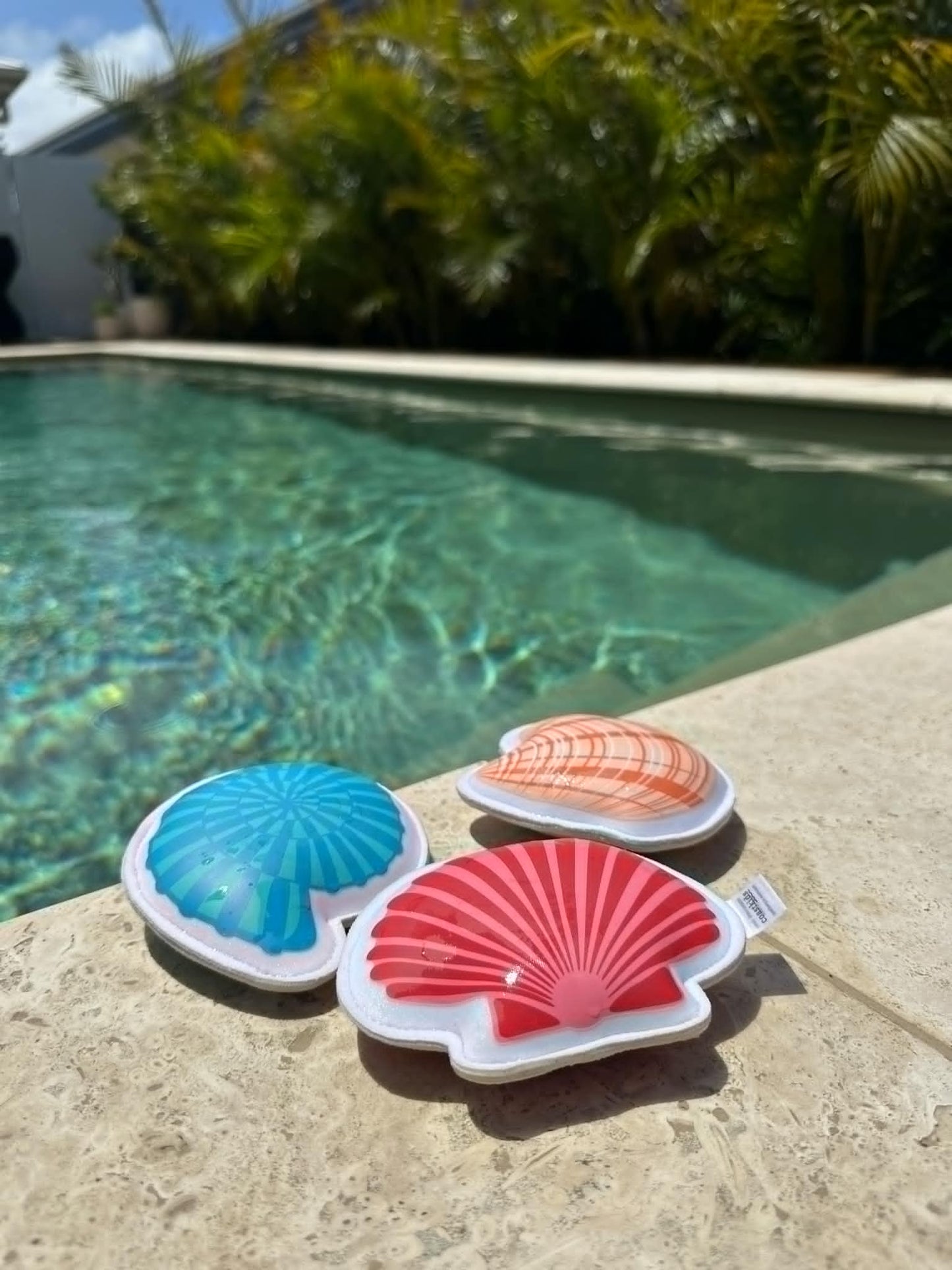 Shoal Bay Sinking shells - Neoprene Dive Toys