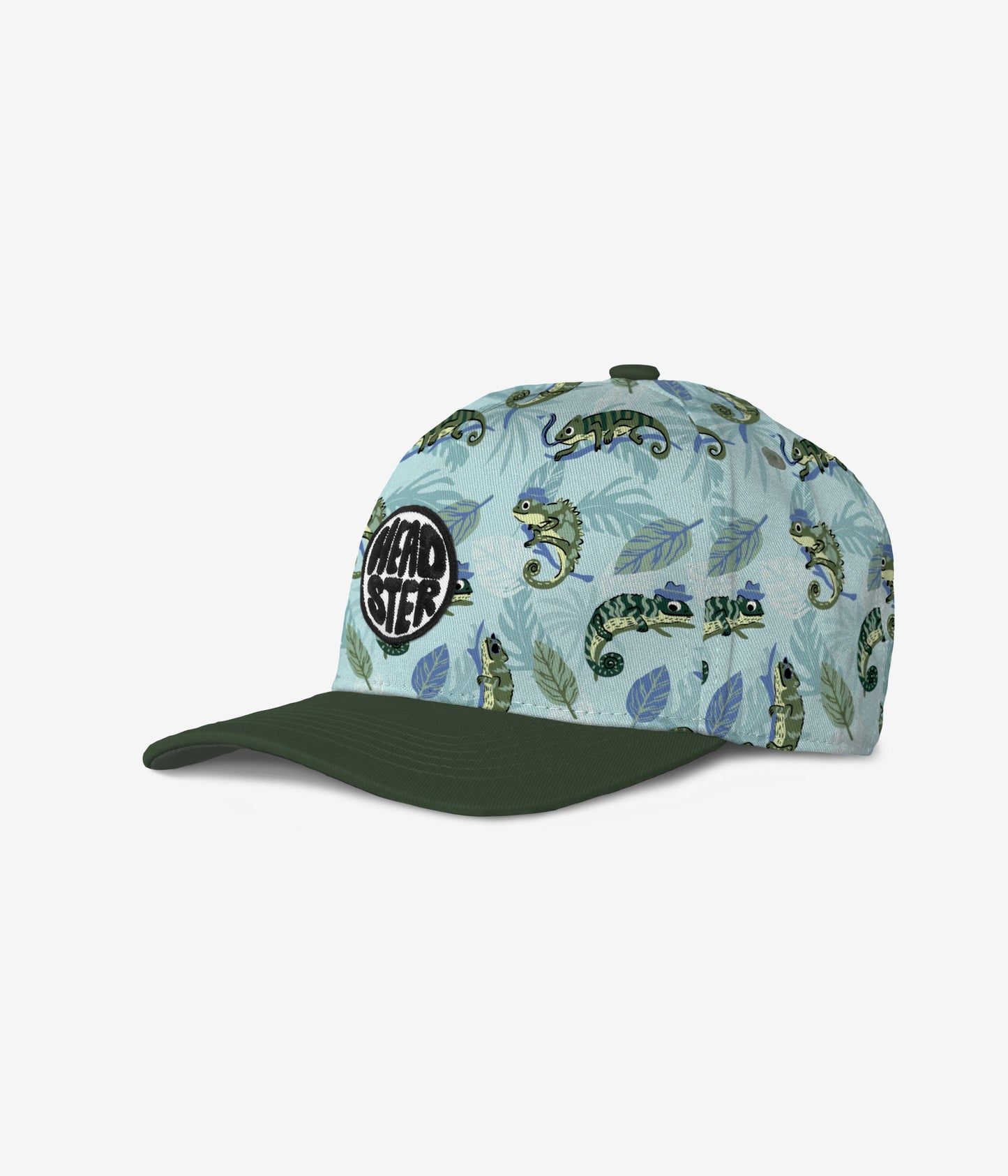 Mister Chameleon Curved Brim Snapback - Crystal