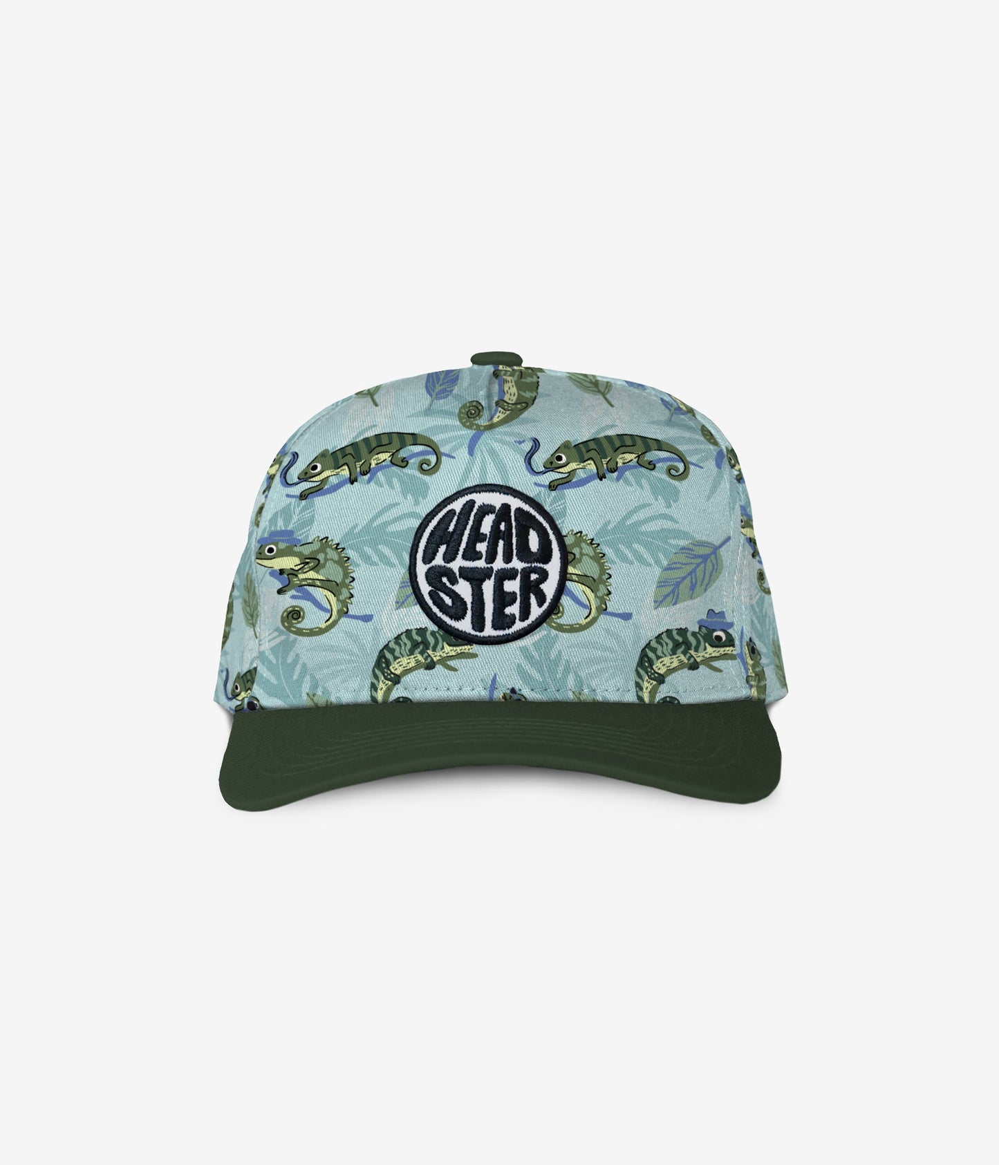 Mister Chameleon Curved Brim Snapback - Crystal