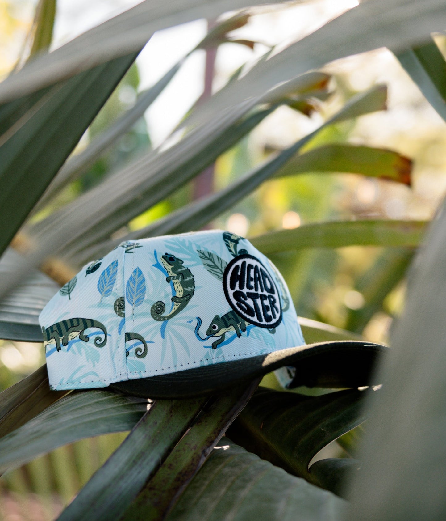 Mister Chameleon Curved Brim Snapback - Crystal