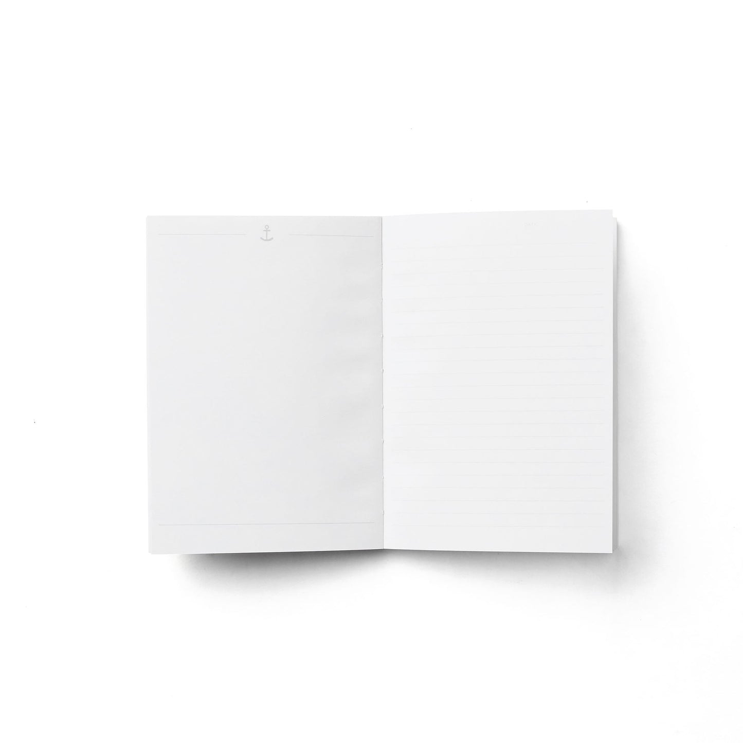Shell Club Notebook - Coconut