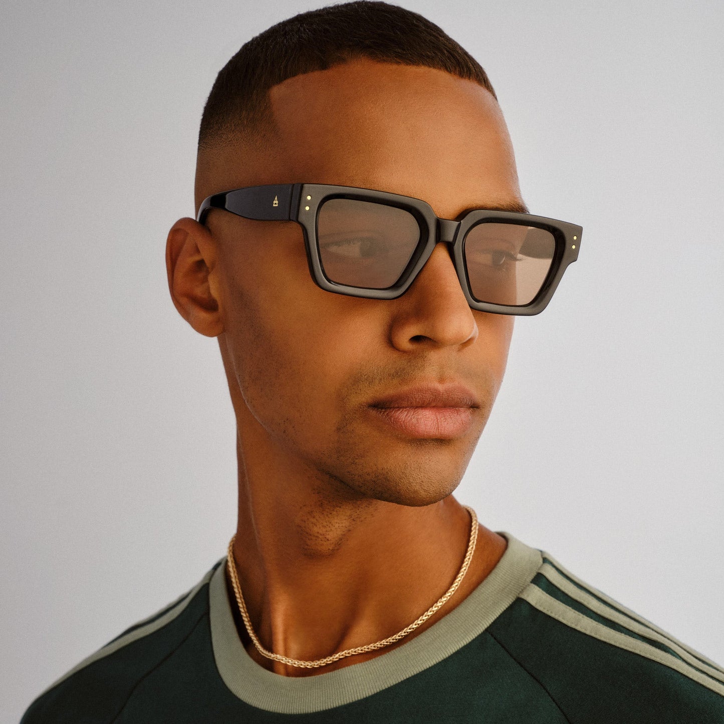 Transit - Black Mocha Tint