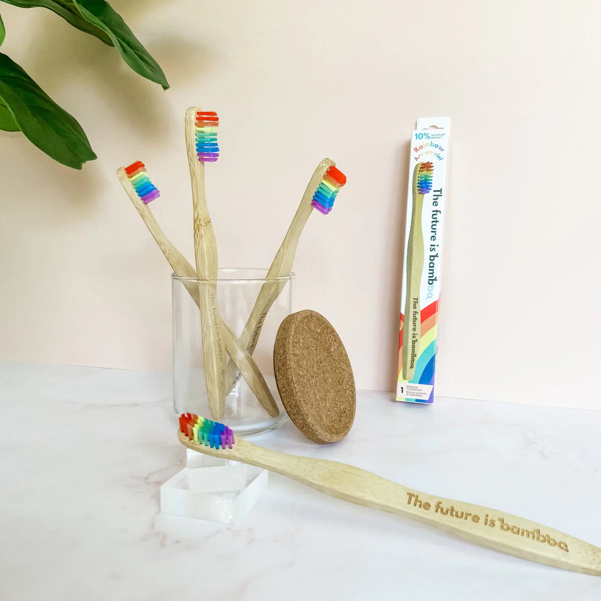 Adult Rainbow Soft Toothbrush