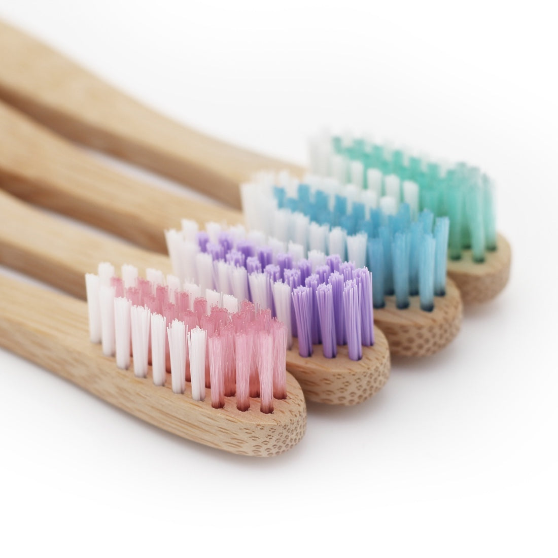 Adult Soft Toothbrush - 4 Colours